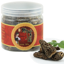 舌尖上的秘境 香格里拉有机松茸，尝鲜正当时